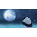 Tales about Pandimoon