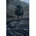 Bloodborne. Том 3. Вороняча пісня