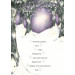 Круторіжка і люта зима. Книга 2 Круторіжка і люта зима. Книга 2
