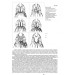 Нариси з історії костюмів / Sketches from History of Costumes Нариси з історії костюмів / Sketches from History of Costumes