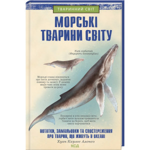 Морські тварини світу