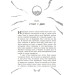 Скандер та примарний вершник. Книга 2 Скандер та примарний вершник. Книга 2