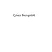 Собака Баскервілів. Долина страху (Folio.Світова класика)