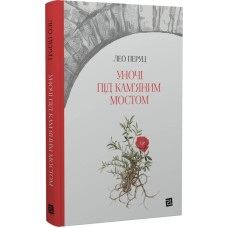 Уночі під кам’яним мостом