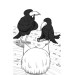 Знайомтеся, Шерлок! Книга 4. Як воно — бути справжнім детективом?