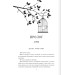 Спалах. Книга 3 (Золота бранка) Спалах. Книга 3 (Золота бранка)