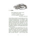 Гонихмарник. Книга 1 Гонихмарник. Книга 1
