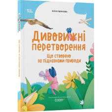 Дивовижні перетворення. Що створено за підказками природи