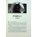 Безніч. Книга 1 (Хроніки Безночі)