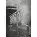 Bakhmut Bakhmut