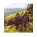 Ukraїner. Ukrainian Insider Ukraїner. Ukrainian Insider