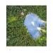 Ukraїner. Ukrainian Insider Ukraїner. Ukrainian Insider